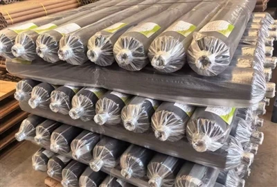 Film Mulch Biodegradable Kanggo Budidaya Ganja: Kasus Ekspor 700-Roll menyang...